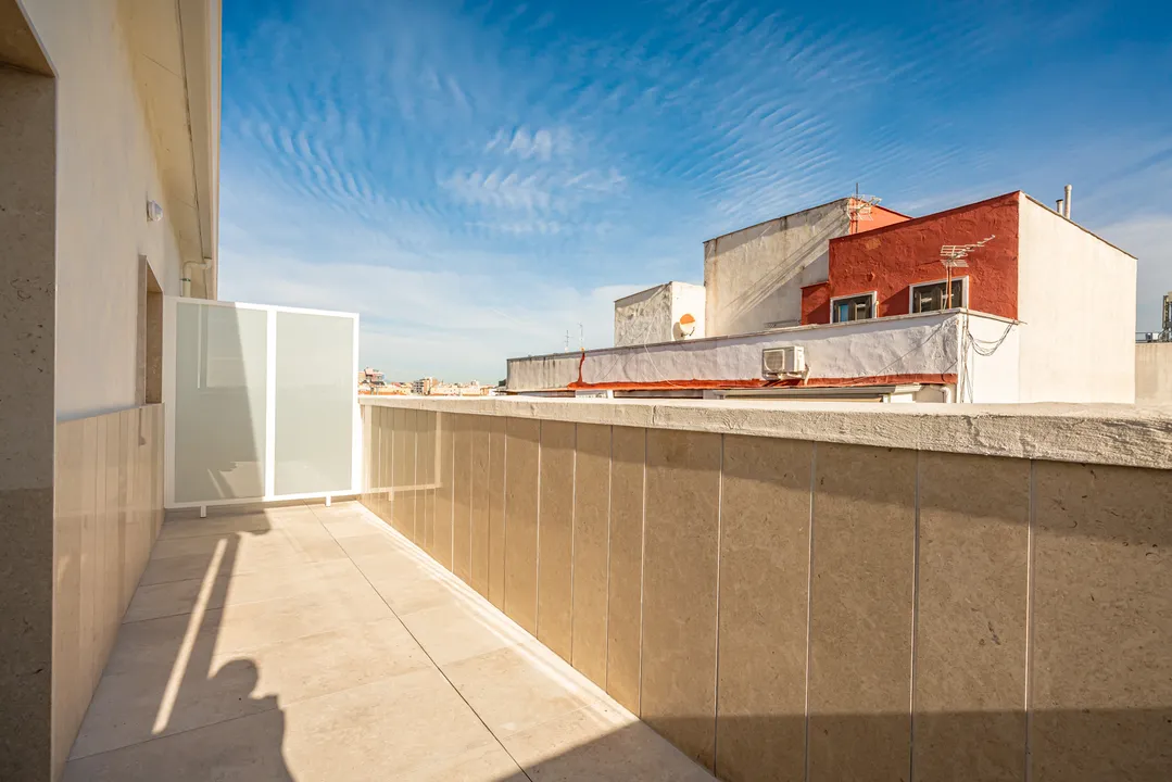 Maestro Alonso V image 5