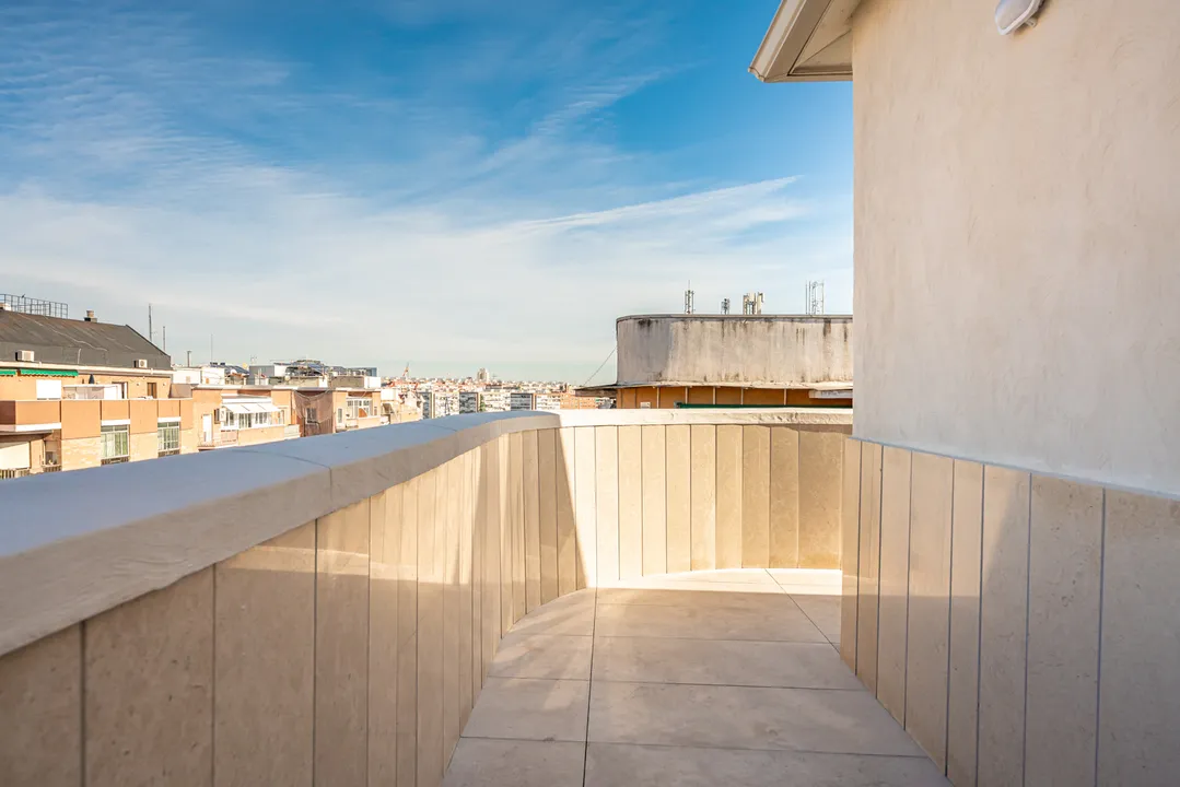 Maestro Alonso V image 6